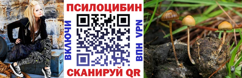 Купить закладки Назарово Галлюциногенные грибы мицелий